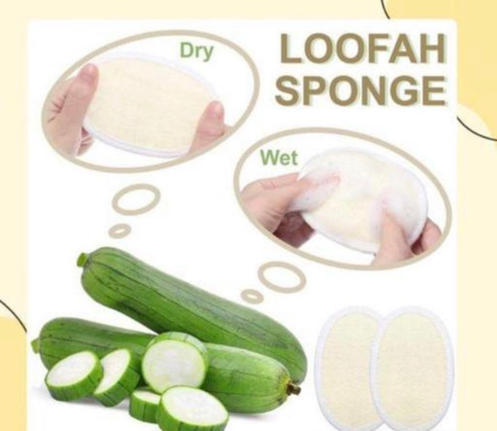 Premium Dual-Sided Organic Loofah & Cotton Spa Sponge (Pack of 6)